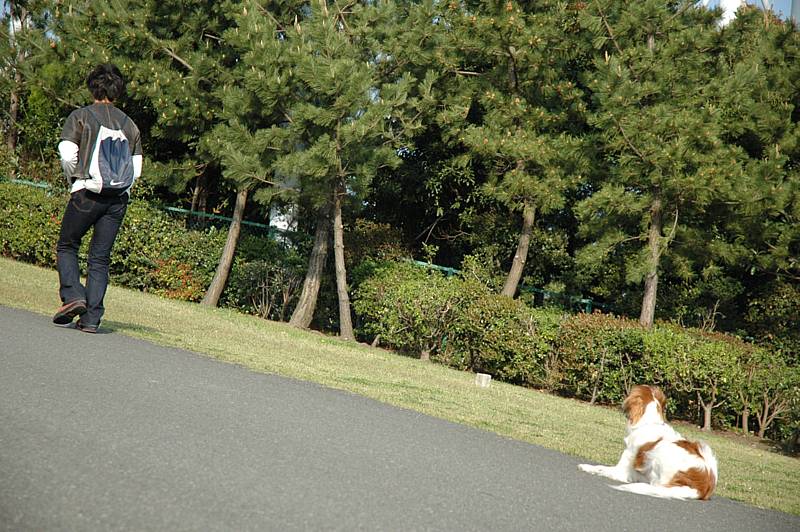 in 八景島　同胎カップル大集合！_c0075585_1281865.jpg