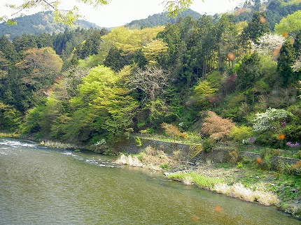 2005年４月20日（水）　奥多摩の山々は笑っていました_b0058608_1131421.jpg