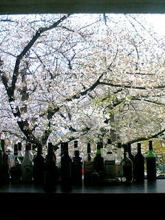 高津宮のGROVEでお花見_c0001742_18392499.jpg