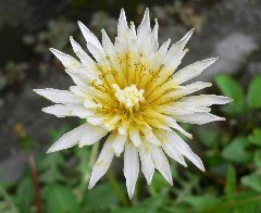 c0069048_79752.jpg