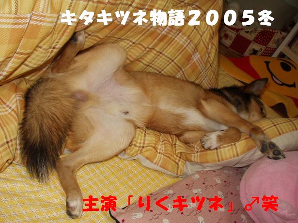 d0032004_79939.jpg