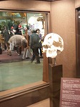 アフリカ共同館２～こっちは最古のホモサピエンス（愛・地球博パビリオンルポ24）_d0012252_15504957.jpg