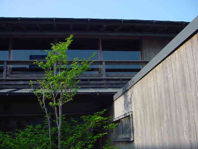 c0049902_17481564.jpg