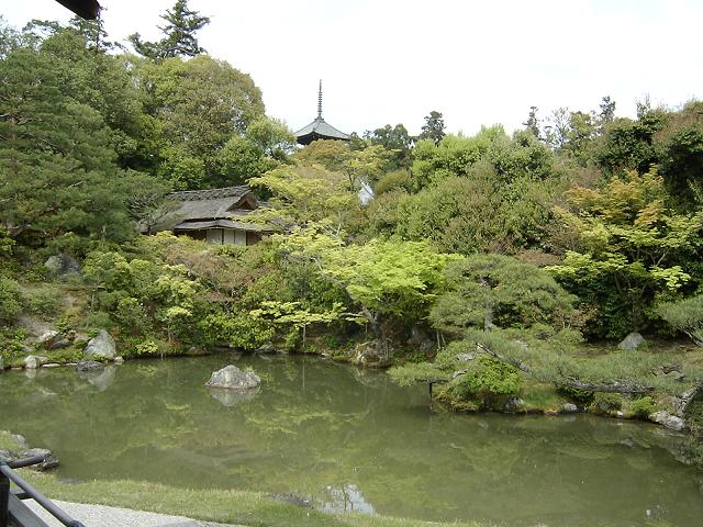 嵐山から仁和寺へ 　　 ２００５年４月２３日_c0048050_23152458.jpg