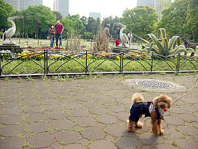 b0036053_232316.jpg