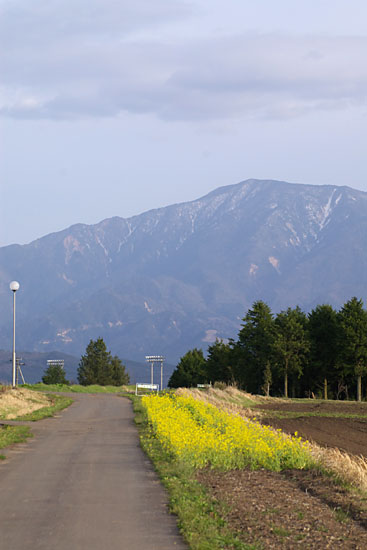 c0054876_8342926.jpg