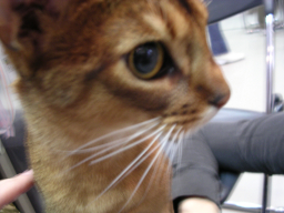 c0074908_03213.jpg
