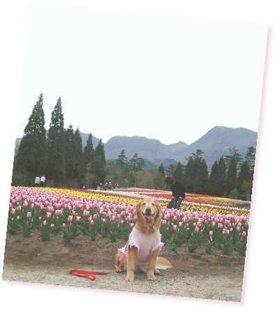 c0017311_9102228.gif