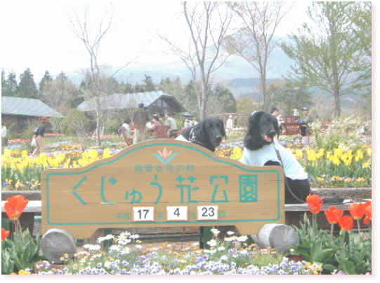 c0017311_97251.jpg