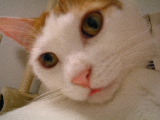 c0006312_22485792.jpg