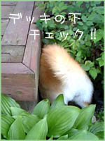 c0060620_1730834.jpg