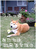 c0060620_19374482.jpg