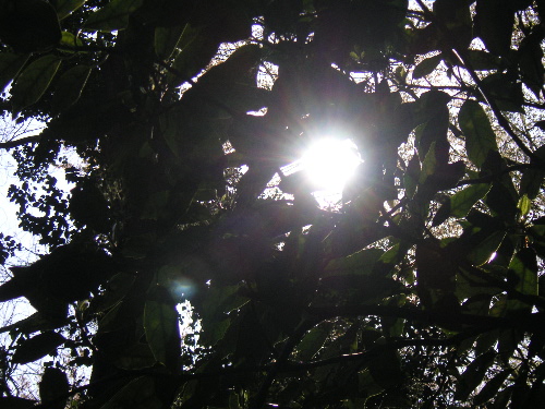 池明観先生4_c0048132_14938100.jpg