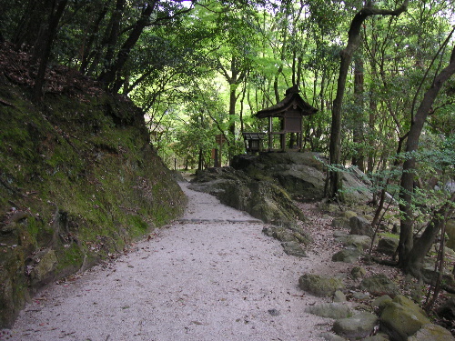 京の名所:上賀茂神社_c0048132_1665728.jpg