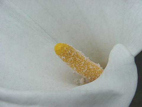 b0017645_23154950.jpg