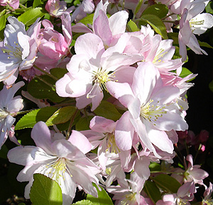 a0001354_214489.jpg