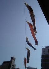 c0039291_151719.jpg
