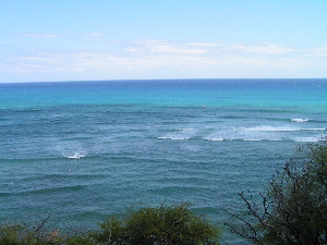 d0032693_1932010.jpg