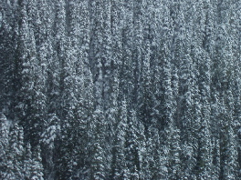 b0051109_8231026.jpg