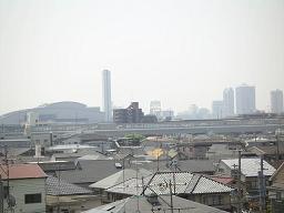 可愛い子に癒され・・・_c0049950_21485391.jpg
