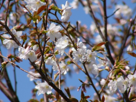 b0024266_045747.jpg