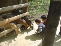 a0019224_0313945.jpg