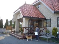 国犬の義務_b0042524_20105946.jpg