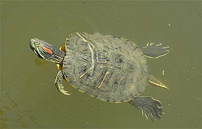 c0068168_17444092.jpg