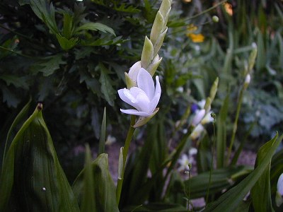 d0016179_22392231.jpg