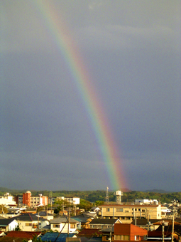 c0048685_16453825.jpg