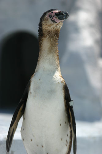 a0012103_2341356.jpg
