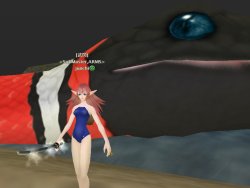 スク水祭inうなぎ浜_d0023063_3314074.jpg