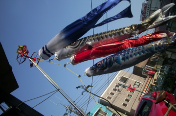 屋根より低い鯉のぼり_c0004024_14464161.jpg