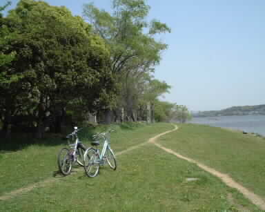b0055247_18253425.jpg