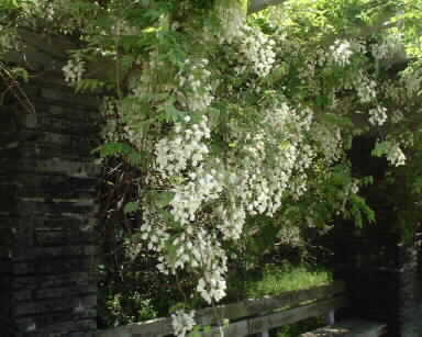 b0055247_18255836.jpg