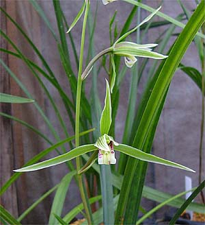c0068168_18121117.jpg