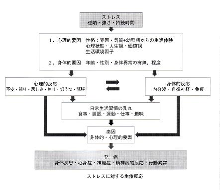 筋筋膜痛症候群_b0052170_0252635.jpg