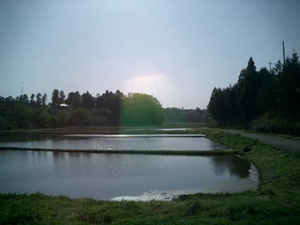 散歩道_b0019674_0422420.jpg