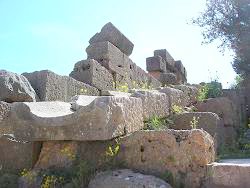 c0010496_01157.jpg