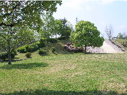 c0036203_23154.jpg