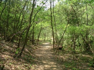 b0027830_22225650.jpg