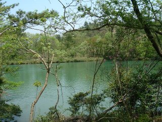 b0027830_22231628.jpg