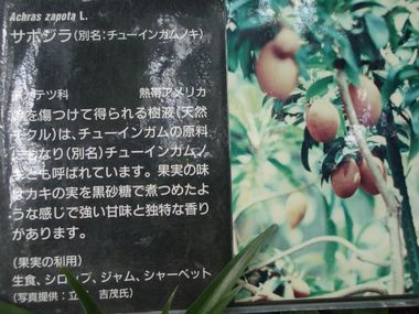 c0024552_23484647.jpg