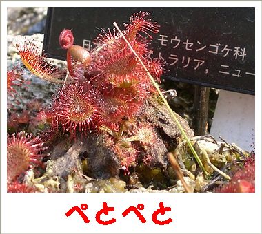 c0024552_3115938.jpg