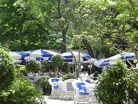 c0039768_547164.jpg