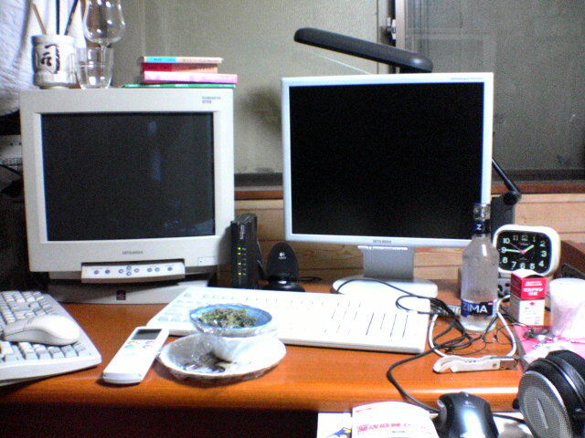 d0012669_1533365.jpg