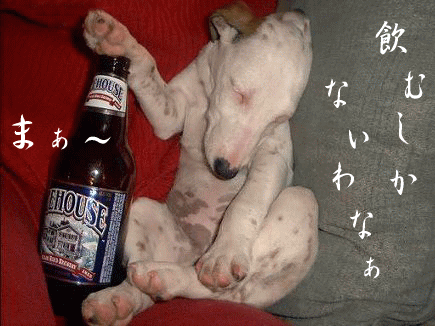 a0019994_22285396.gif