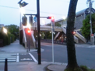 c0000300_1751727.jpg