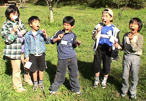 d0009311_346331.jpg