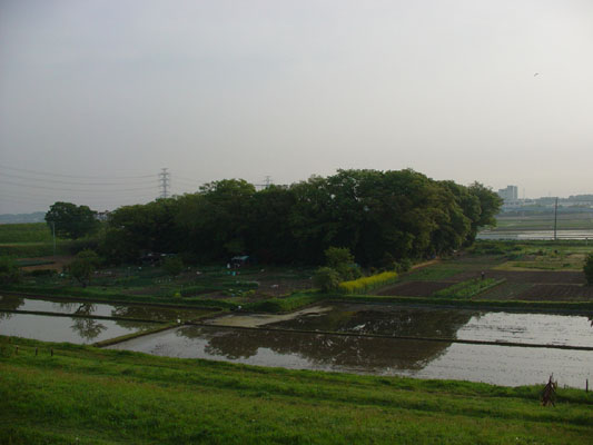 c0000718_17172793.jpg